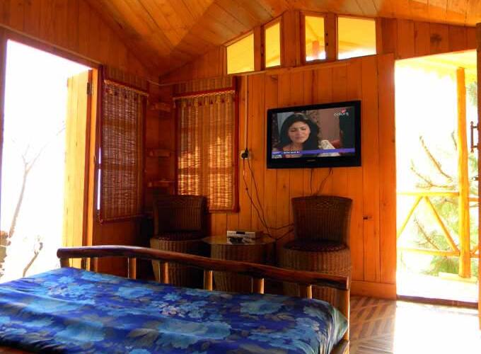 Pinewood Cottage, Kasauli 4